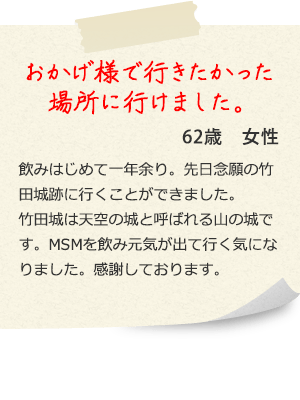 おかげ様で行きたかった 場所に行けました。 62歳 女性 飲みはじめて一年余り。先日念願の竹田城跡に行くことができました。 竹田城は天空の城と呼ばれる山の城です。MSMを飲み元気が出て行く気になりました。感謝しております。