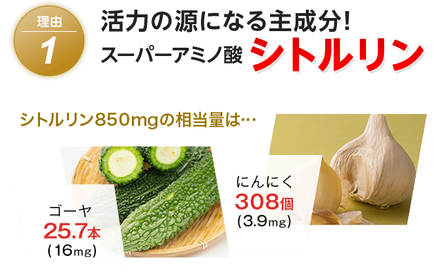 Hisamitsu 活力アミノ酸DX 30袋(30袋 通常購入): 健康食品-久光製薬の健康食品「乳酸菌」「MSM＋グルコサミン EX」等の通販サイト