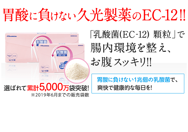 久光製薬 乳酸菌 EC-12 1g×30袋