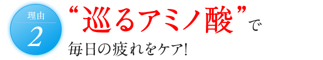 理由2 “巡るアミノ酸”で毎日の疲れをケア!