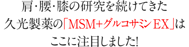 MSM＋グルコサミンEX 300粒｜久光製薬の公式通販サイト [HisamitsuいきいきOnline]
