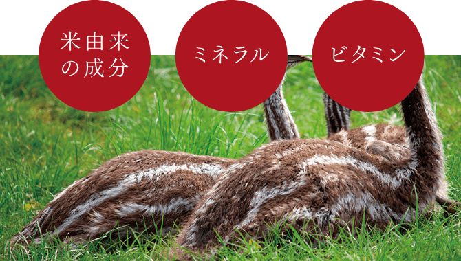 めーみちゃん⭐︎ ABEILLE E SERUM オイル状美容液 Amazon | [アースアンドユー] 美容乳液 オーガニック認証